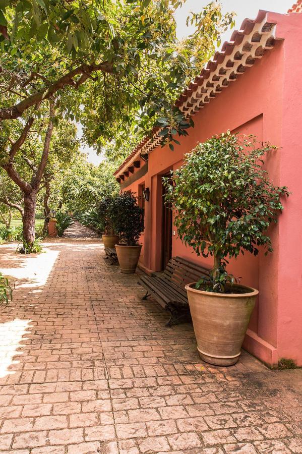 Homeforguest Cosy Rural Flat La Lavanda Surrounded By Nature Tacoronte Exterior foto